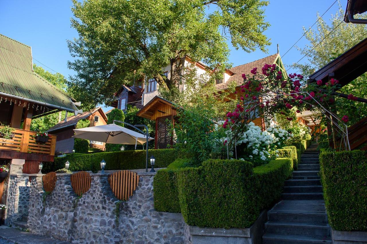 Casa Edy Hotel Sovata Exterior photo